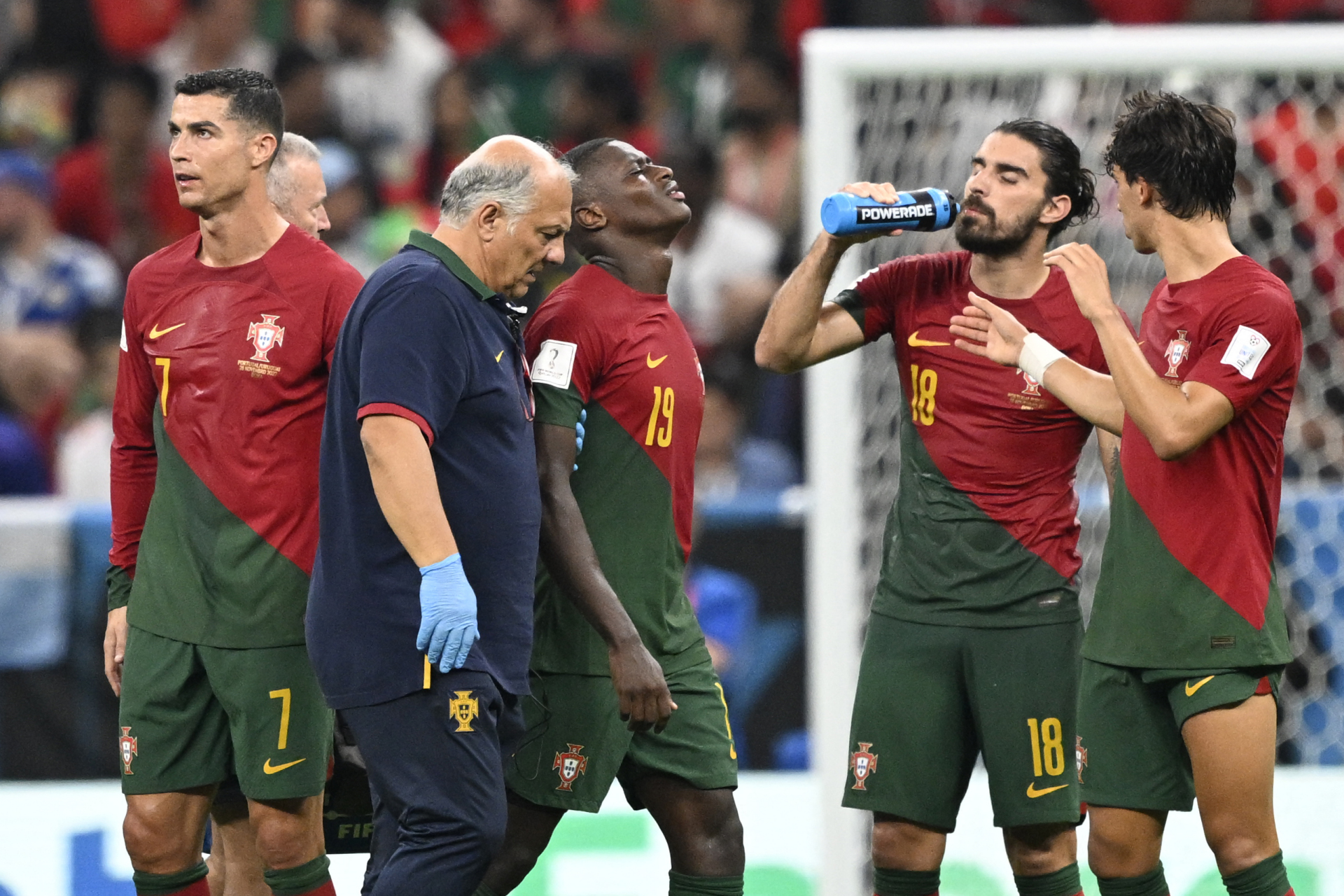 PG中国登录入口-波兰队完胜葡萄牙队，马龙扛起全队的简单介绍